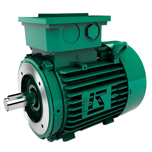 LEROY_SOMER Leroy Somer FLSES 132SM2 — Electric Motors